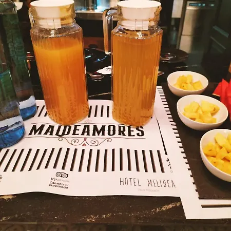 Alevia 게스트하우스 *