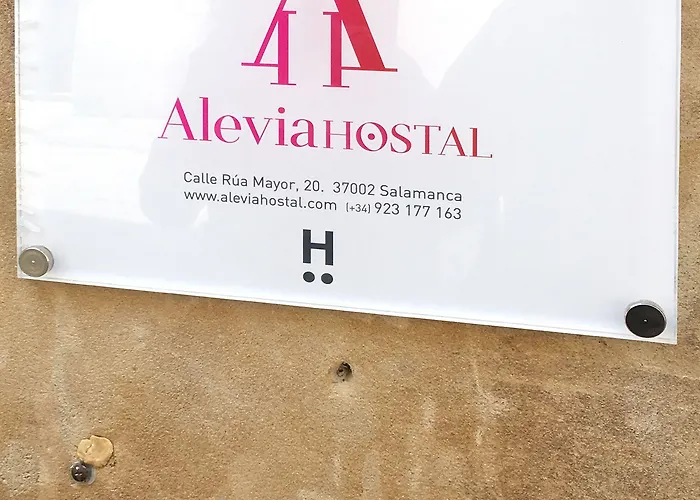 Alevia 게스트하우스