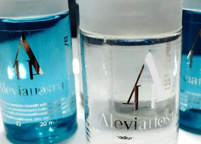 게스트하우스 Alevia