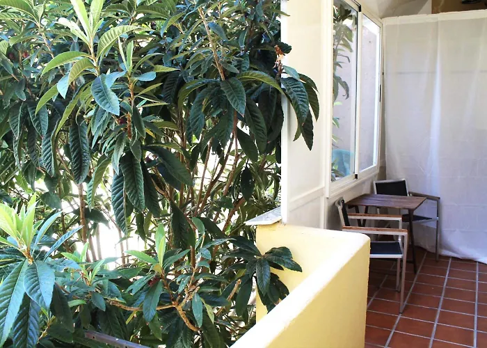 Maison d'hôtes Alevia