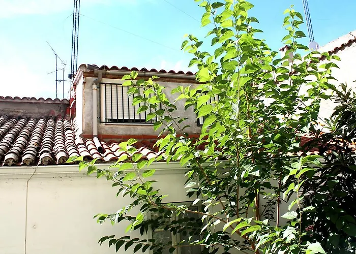 Alevia 게스트하우스